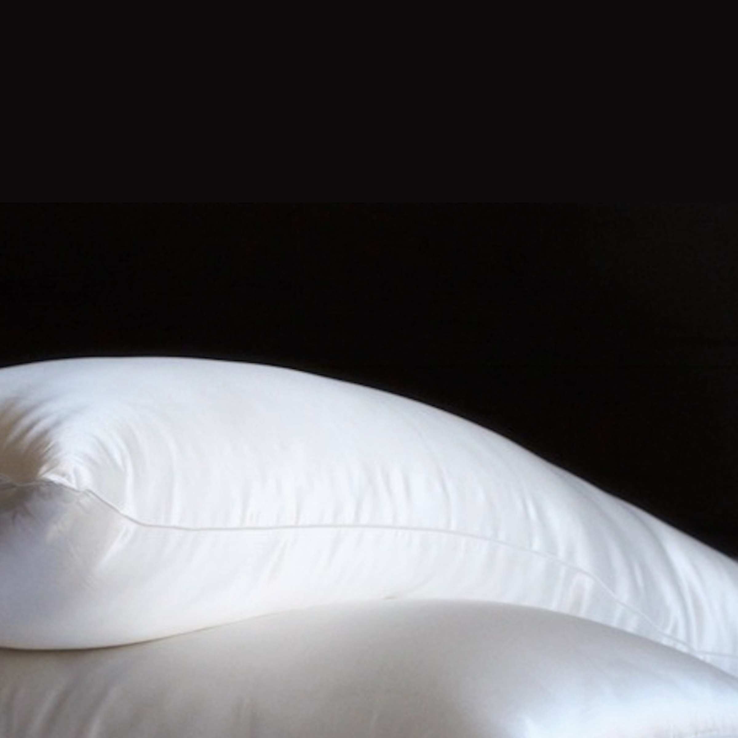 Oreiller en soie avec couverture en soie